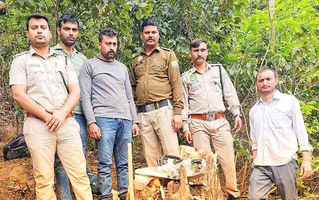 बंगाणा वन विभाग पकड़ा वन काटुआ, आरा मशीन सहित 22 खैर के मोछे बरामद