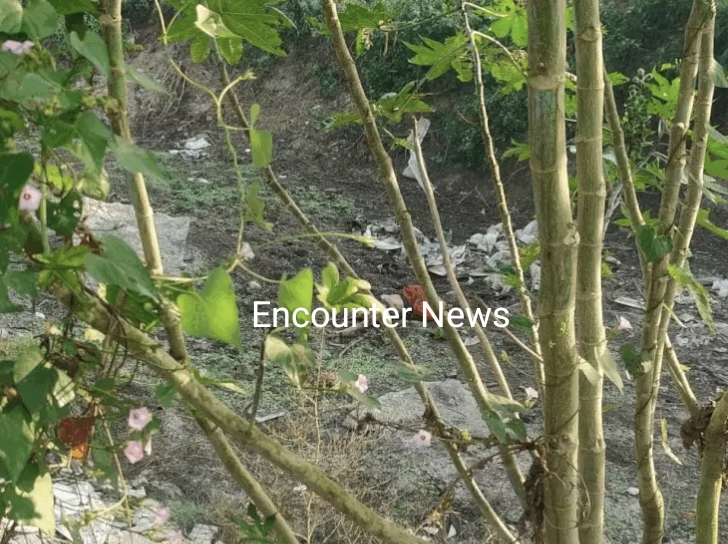 Jalandhar News: बाइक और कार की टक्कर में एक की मौत 
