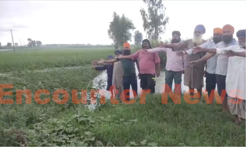 Punjab News: 8 दिनों बाद भी नहीं उतरा पानी, फसल को देख कर किसान को पड़ा दौरा, मौत, देखें वीडियो