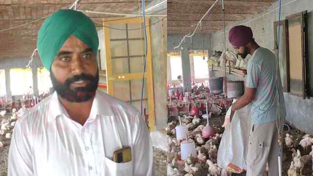 Punjab News: प्रगतिशील किसान Sideline Business से कमा रहा मोटा मुनाफा, देखें वीडियो