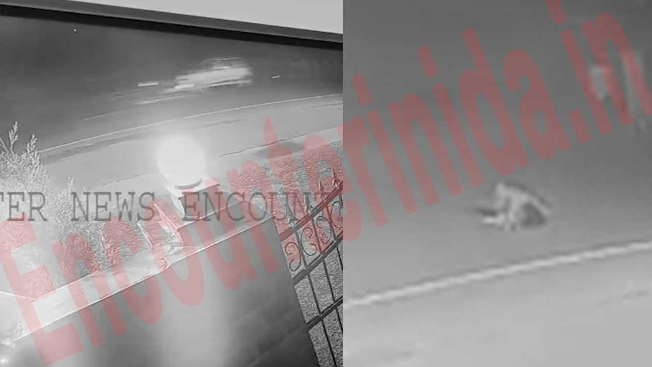 Jalandhar News: दपंति की सड़क हादसे में हुई मौत, CCTV फुटेज में महिला को घसीटकर ले जाता दिखा कार चालक, देखें वीडियो