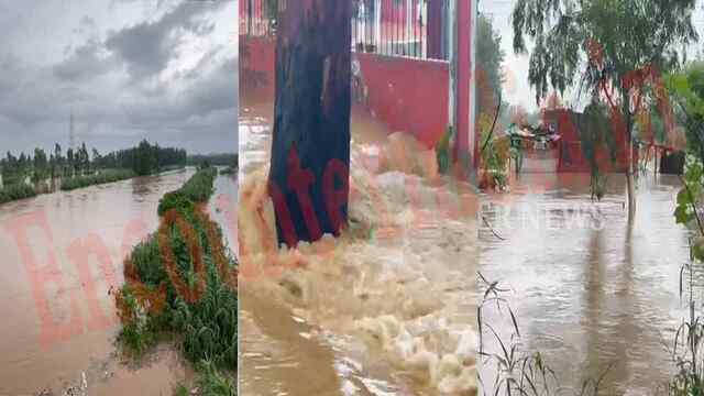Punjab News: इलाके में उफान पर जलालिया नदी, कई इलाकों में भरा पानी, फसलें तबाह, देखें वीडियो