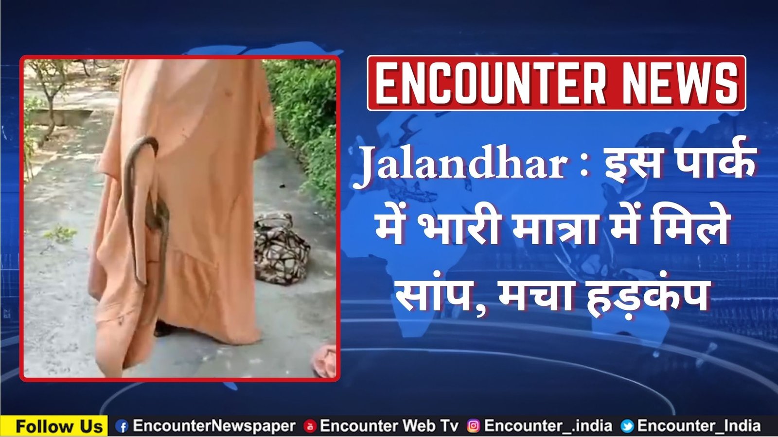 Jalandhar News: इस पार्क में भारी मात्रा में मिले सांप, मचा हड़कंप, देखें वीडियो