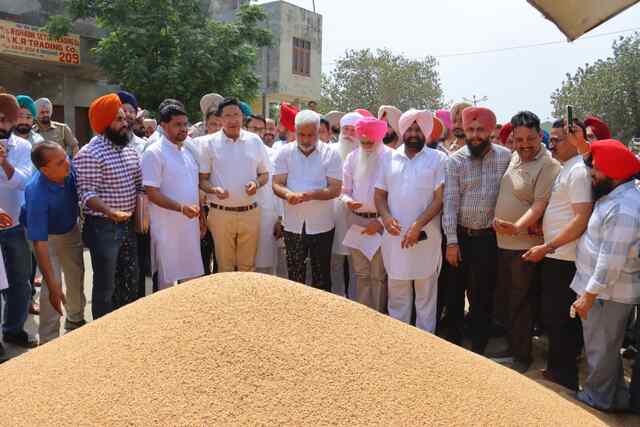 Punjab News: पंजाब में गेहूं खरीद तेज, 56 लाख मीट्रिक टन की खरीद पूरी; किसानों को 24 घंटे में भुगतान