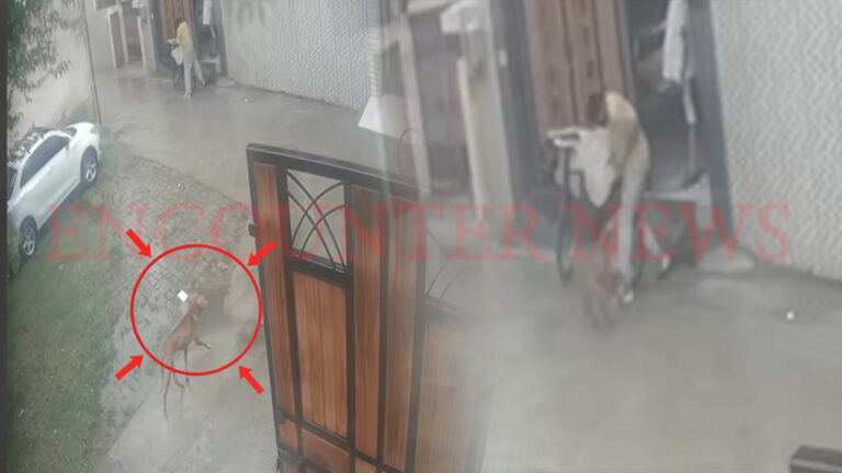 Punjab News: Model Town में आवारा कुत्ते ने अखबार वितरित कर रहे व्यक्ति पर किया हमला, घायल, देखें वीडियो