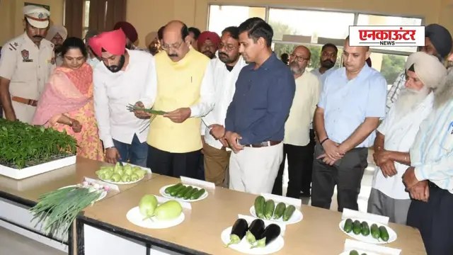Punjab News: पंजाब के आलू बीज बनेंगे अंतरराष्ट्रीय ब्रांड, मंत्री महिंदर भगत का बड़ा ऐलान – किसानों की आय में बढ़ोतरी का वादा!