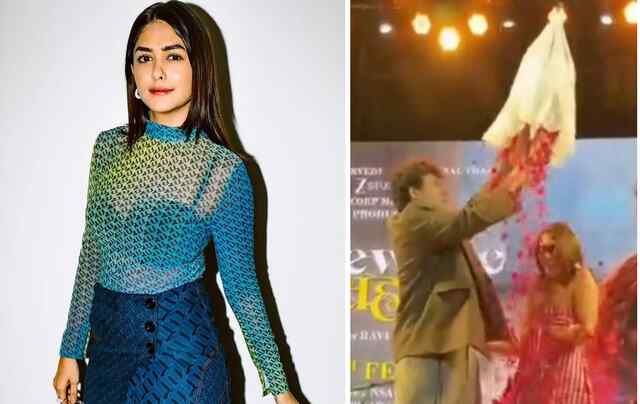 मृणाल ठाकुर पर को-एक्टर ने की फूलों की बारिश, धनुष को लेकर कही ये बात, देखें वीडियो