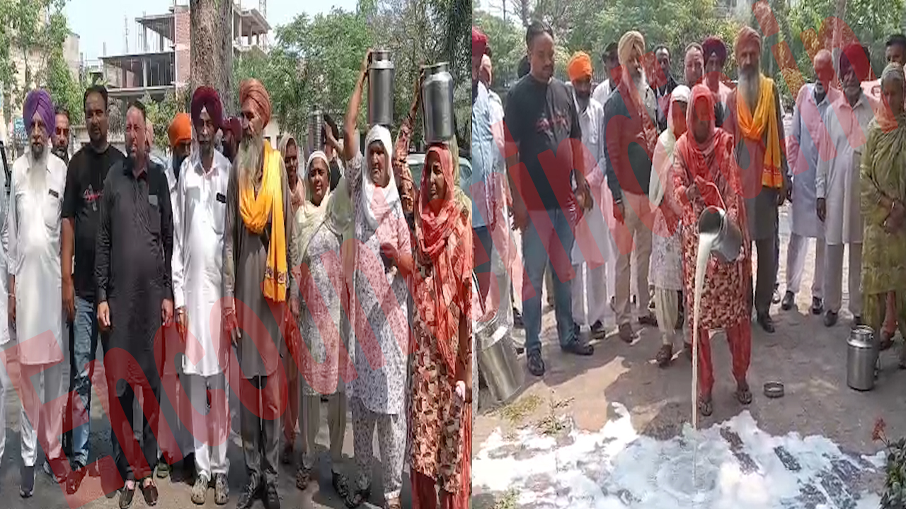 Jalandhar News: लोगों ने दूध गिराकर किया रोष प्रदर्शन, देखें वीडियो