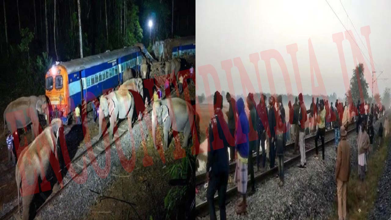 बड़ा हादसाः राजधानी एक्सप्रेस से टक्कर में कई हाथियों की मौत, पटरी से उतरे ट्रेन के 5 डिब्बे, देखें वीडियो