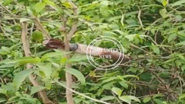 खेतों में मोर्टार मिलने से लोगों में मचा हड़कंप, देखें वीडियो