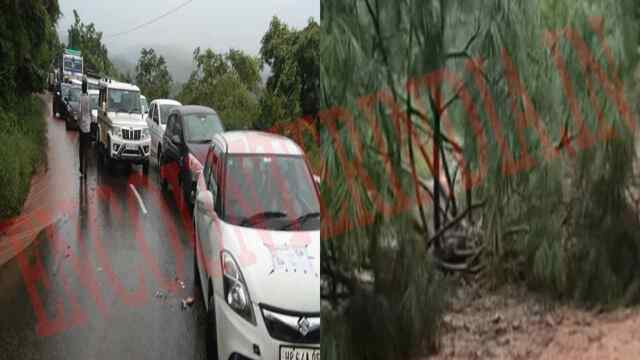 Punjab News: बारिश ने बढ़ाई मुश्किलें, कहीं Landslide तो कहीं गिरे सालों पुराने पेड़, देखें वीडियो