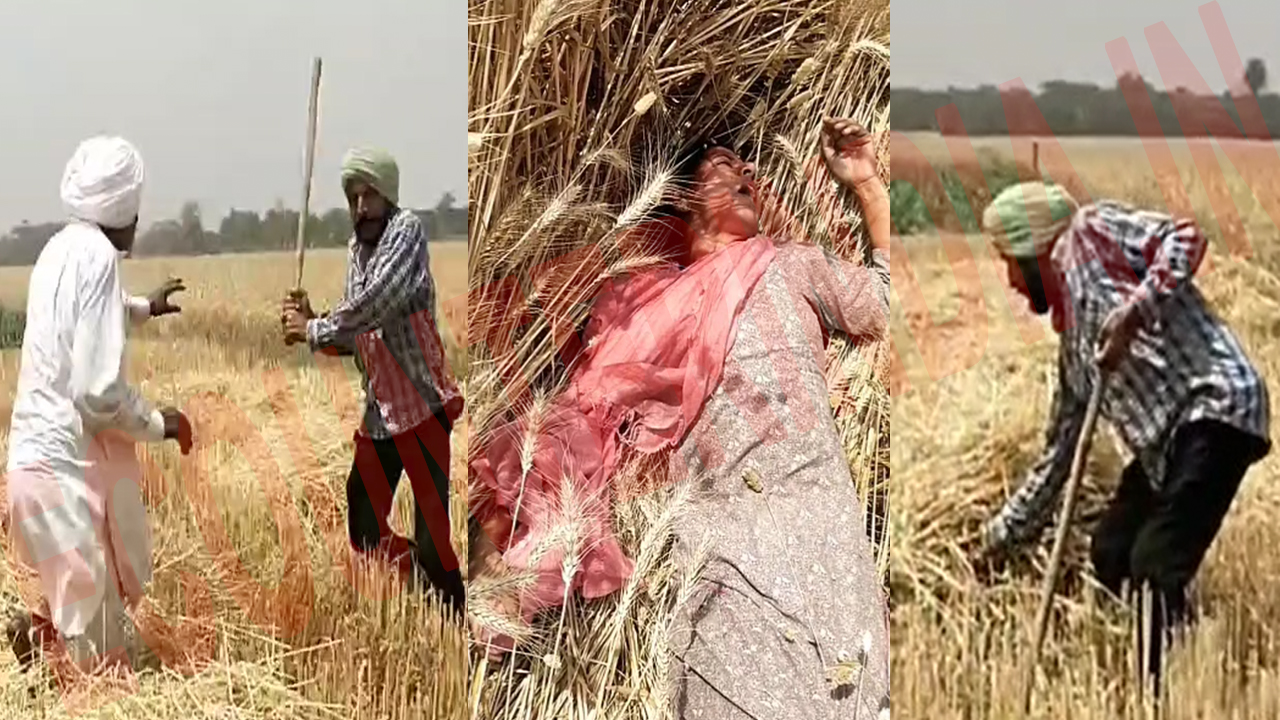 Punjab News: पूर्व सरपंच ने बुजुर्ग पर बरसाए डंडे, फसल को आग लगाने का भी किया प्रयास, देखें Video