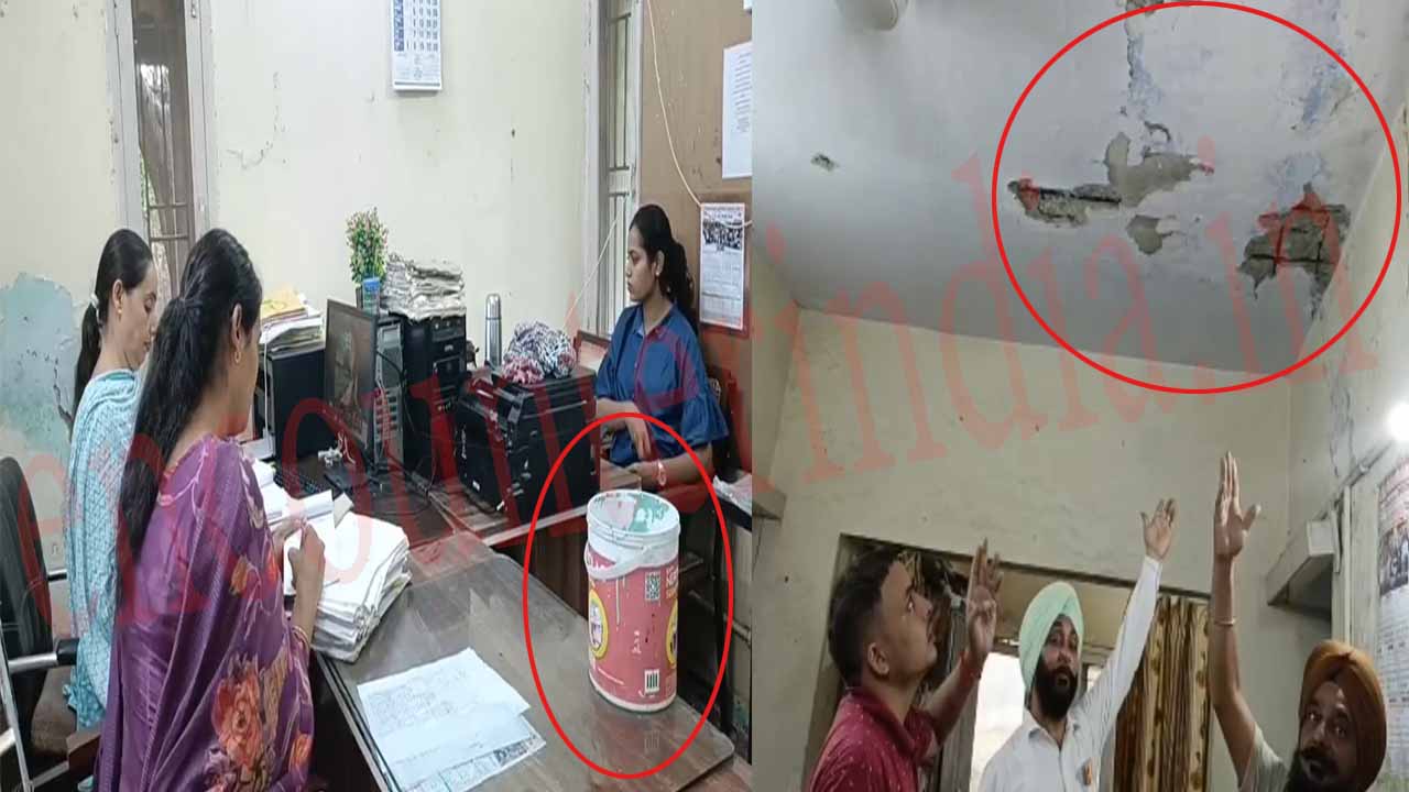 Punjab News: बारिश के बीच असुरक्षित इमारतों में काम कर रहे बिजली विभाग के कर्मचारी, देखें वीडियो