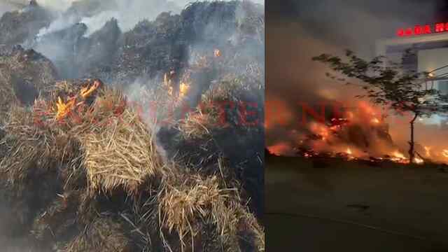 Jalandhar News: पराली से भरी ट्रैक्टर ट्राली को लगी आग, नौजवानों ने कूदकर बचाई जान, देखें वीडियो