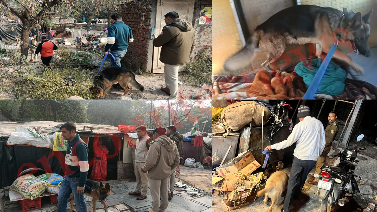 Haryana News: हॉटस्पॉट डोमिनेशन ऑपरेशन के तहत 148 आरोपी गिरफ्तार, देखें वीडियो