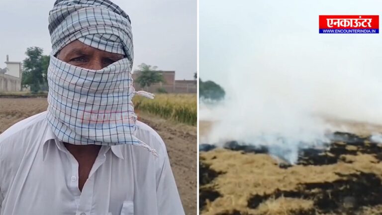 Punjab News : किसानों ने फिर लगाई पराली को आग, देखें वीडियो