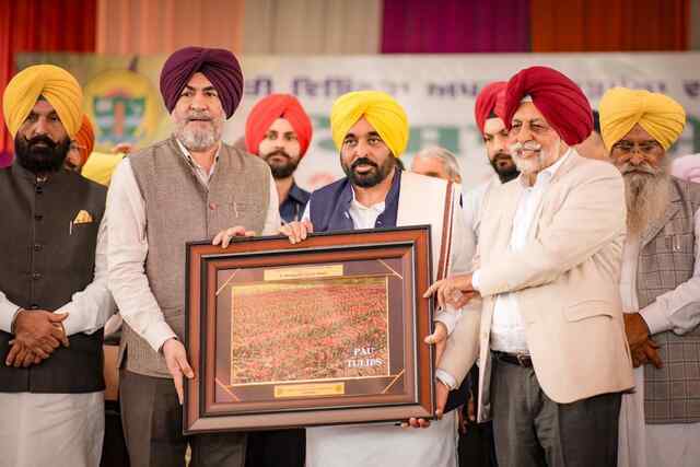 Punjab News: भगवंत मान बोले — AI होगी पंजाब की नई हरित क्रांति, किसानों को मिलेगा फायदा