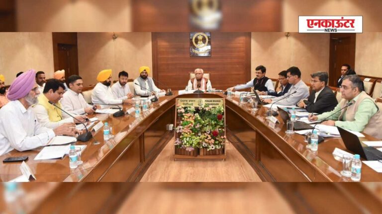 Punjab News: पावर और शहरी विकास पर केंद्र से की बड़ी मांगें, राज्य के हितों की सुरक्षा के लिए किया जोरदार पक्ष