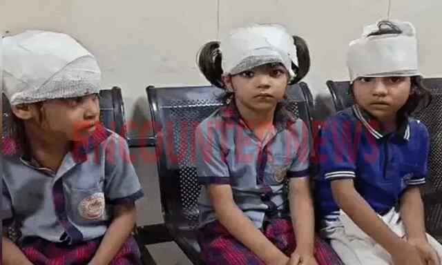 School पर मकान की निर्माणाधीन दीवार गिरने से मलबे में दबे 10 बच्चे, 4 की हालत नाजुक, देखें वीडियो