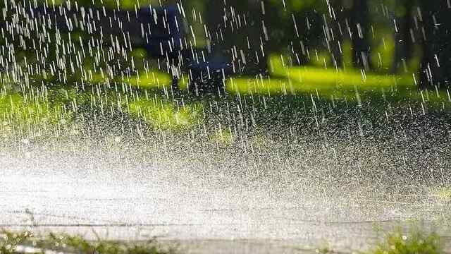 Punjab: मौसम विभाग ने 12 जिलों मेें बारिश का येलो Alert किया जारी