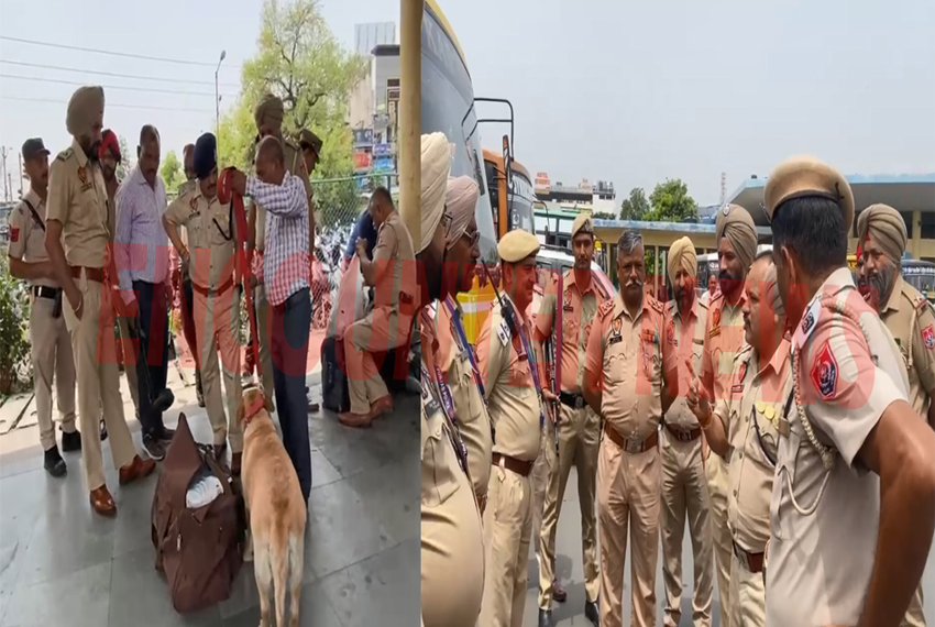 Jalandhar News: भारी पुलिस फोर्स के साथ DCP Naresh Dogra ने बस स्टैंड को किया सील, देखें वीडियो