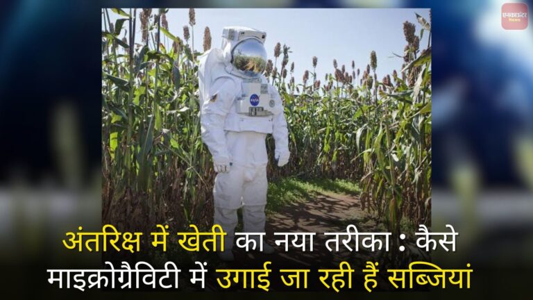 अंतरिक्ष में खेती का नया तरीका: कैसे Microgravity में उगाई जा रही हैं सब्जियां