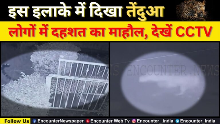 इस इलाके में दिखा तेंदुआ, लोगों में दहशत का माहौल, देखें CCTV