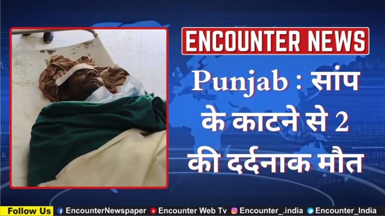 Punjab : सांप के काटने से 2 की दर्दनाक मौत