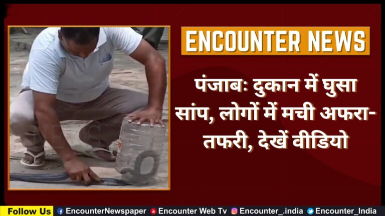 Punjab: दुकान में घुसा सांप, लोगों में मची अफरा-तफरी, देखें वीडियो