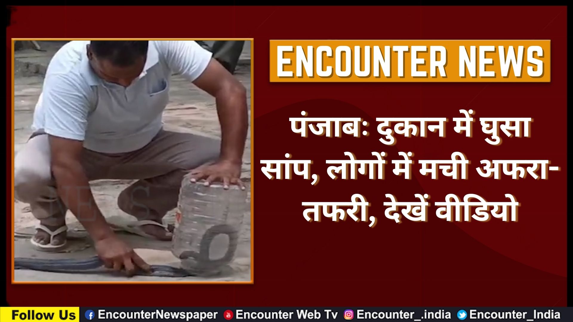 Punjab: दुकान में घुसा सांप, लोगों में मची अफरा-तफरी, देखें वीडियो