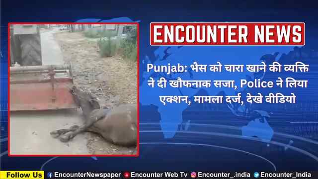 Punjab: भैस को चारा खाने की व्यक्ति ने दी खौफनाक सजा, Police ने लिया एक्शन, मामला दर्ज, देखे वीडियो