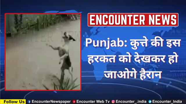 Punjab: कुत्ते की इस हरकत को देखकर हो जाओगे हैरान, वायरल वीडियो