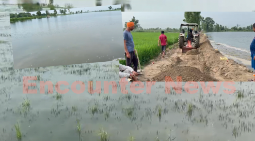 Punjab News: फिर बढ़ा जलस्तर, टूटने की कगार पर आर्जी बांध, देखें वीडियो