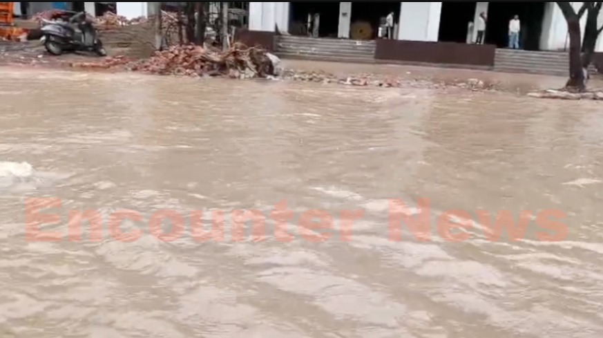 Punjab News: भारी बारिश का कहर, मलबा और पेड़ गिरने से सड़कों का संपर्क टूटा, देखें वीडियो