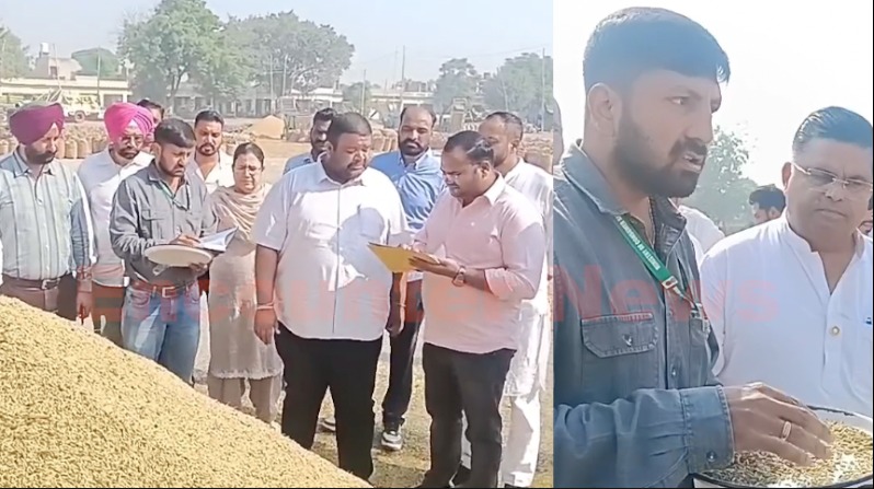 Punjab News: मंडी पहुंची फूड कॉरपोरेशन ऑफ इंडिया की टीम, धान की फसल के सैंपल लिए, देखें वीडियो