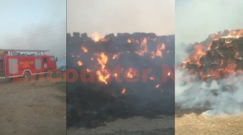 Punjab News: पराली के ढेर में लगी भीषण आग, प्रशासन ने जारी किए निर्देश, लोगों में दहशत का माहौल, देखें वीडियो