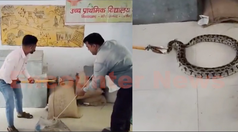 School के Store Room में निकला 10 फीट का अजगर, बच्चों में मचा हड़कंप, देखें वीडियो