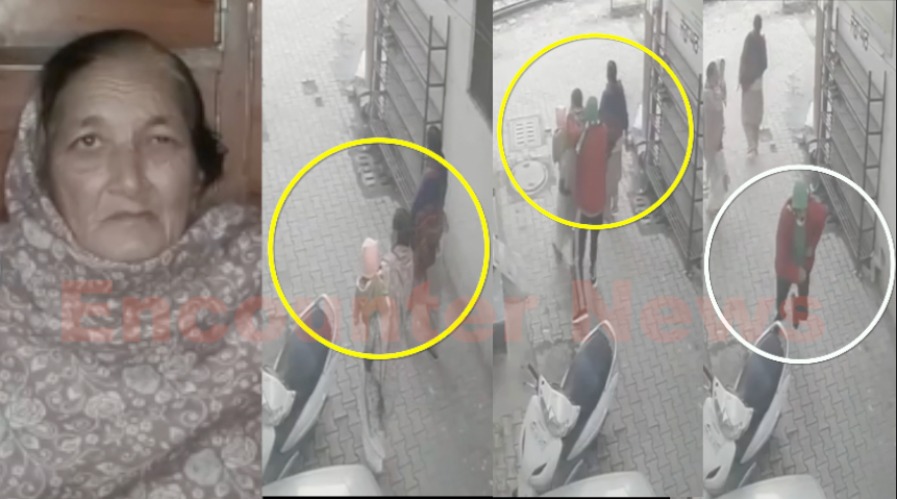 Punjab News: गोगामेड़ी माथा टेकने जा रही महिला से लूट, युवक ने कान की बालियां झपटी, देखें CCTV