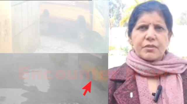 Punjab News: दीवार से टकराई बच्चों से भरी स्कूल बस, लोगों ने लगाए रेस लगाने के आरोप, देखें वीडियो