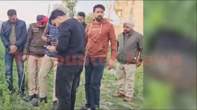 Jalandhar News: इलाके में सिर बरामद होने से मचा हड़कंप, जांच में जुटी पुलिस, देखें वीडियो