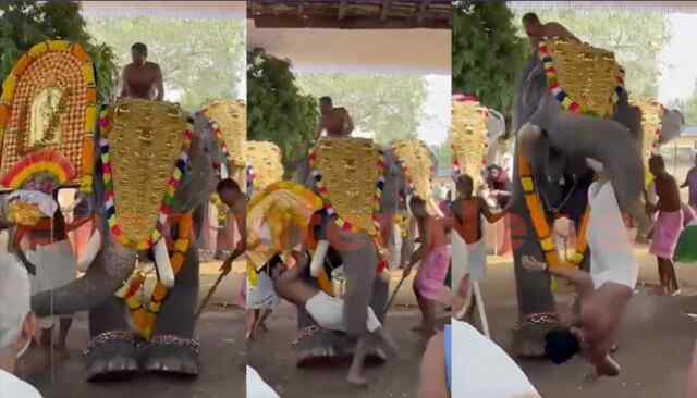 उत्सव के दौरान में बेकाबू हाथी ने सूंड में उठाकर युवक को पटका, मची भगदड़, देखें वीडियो