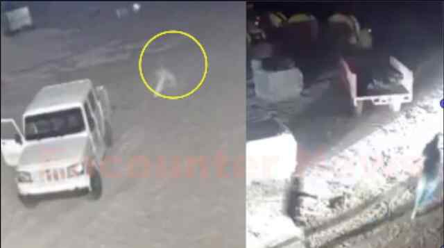 Gun Point पर गाड़ी सवार लुटेरों ने चौंकीदार को बनाया बंधक, नगदी और फोन छीनकर हुए फरार, देखें CCTV