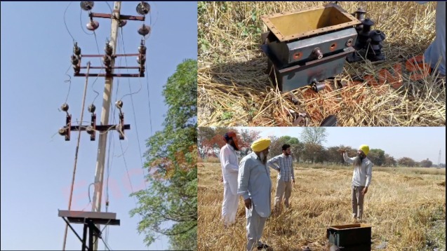 Punjab News: खेतों से बिजली के 5 ट्रांसफार्मर लेकर चोर फरार, देखें वीडियो