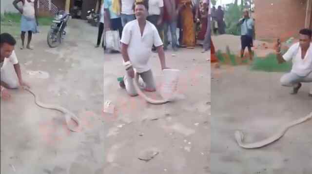 सांप को पकड़ने के बाद हुई व्यक्ति की मौत, Social Media पर Viral हुआ Video