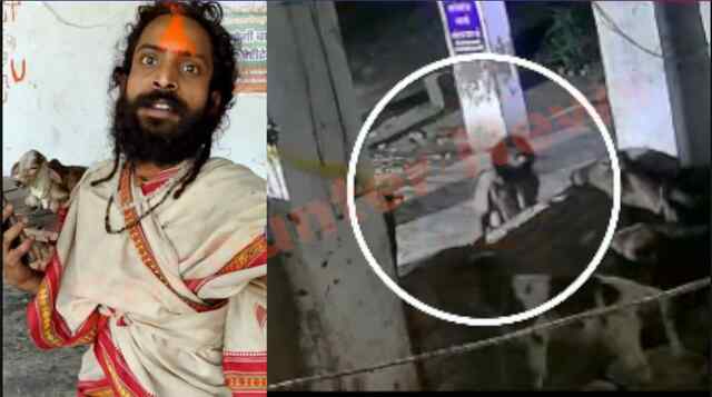 Jalandhar News: गौंशाला में बच्छे पर कुत्तों ने किया हमला, मौत, साधु पर लगे आरोप, देखें वीडियो