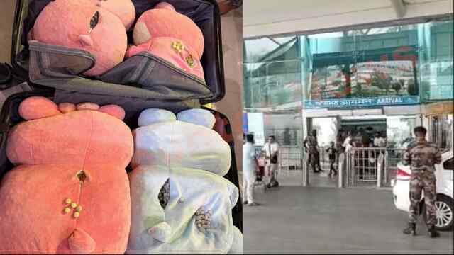 Punjab News: International Airport पर नशीले पदार्थों सहित यात्री गिरफ्तार, देखें वीडियो