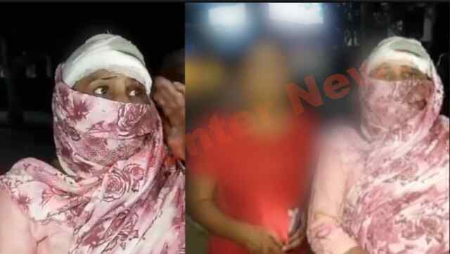 Jalandhar News: पानी को लेकर हुई खूनी झड़प, जमकर चले ईंट-पत्थर, महिला घायल, देखें वीडियो