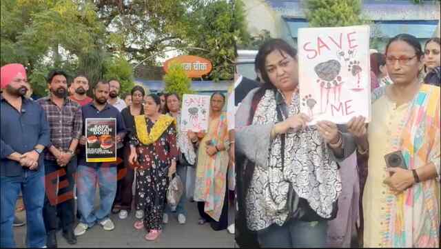 Jalandhar News: Dog Lovers का प्रदर्शन, पीड़ित बुजुर्ग ने किया विरोध, देखें वीडियो