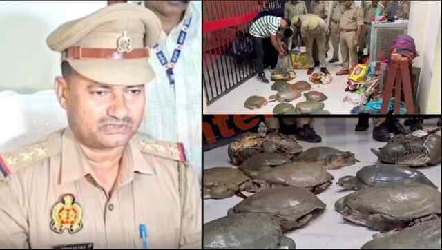 Train से हो रही थी तस्करी, Doon Express से 45 जिंदा कछुए बरामद, देखें वीडियो
