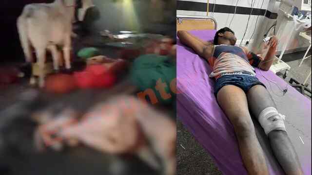 पुलिस और गो-तस्करों के बीच चली गोलियां, एक घायल